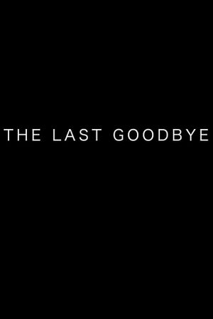 The Last Goodbye's poster