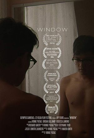 Window's poster