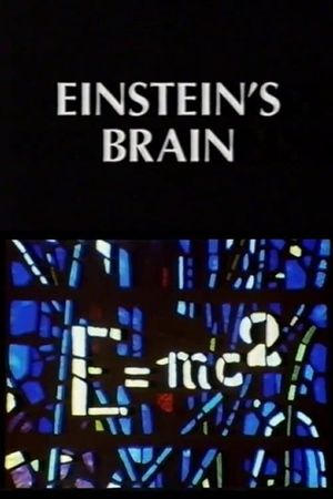 Relics: Einstein's Brain's poster