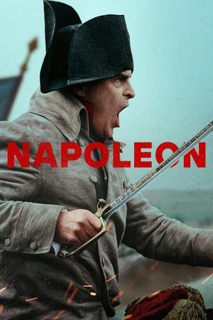 Napoleon's poster