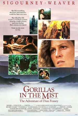 Gorillas in the Mist's poster