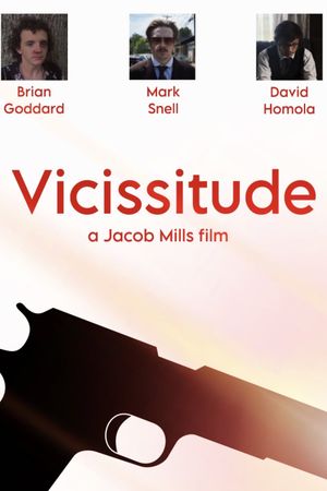 Vicissitude's poster