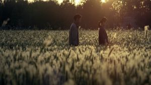 The Wheat's poster
