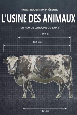 Production Line Animals's poster image