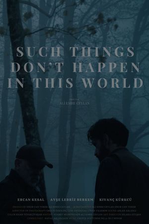 Such Things Don’t Happen in This World's poster