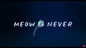 Meow or Never's poster