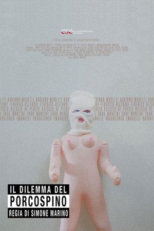 Il dilemma del porcospino's poster image