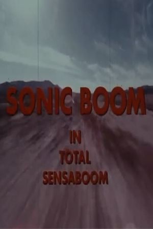 Sonic Boom's poster