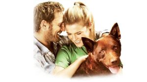 Red Dog's poster