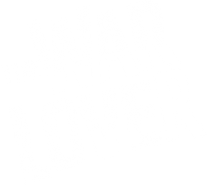The War Lover's poster