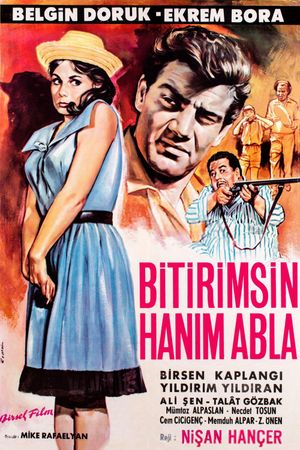 Bitirimsin hanim abla's poster