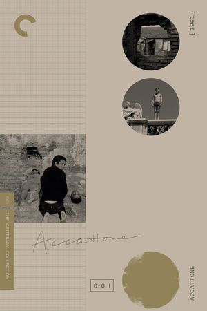 Accattone's poster