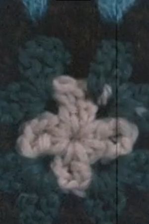 Organic Afghan's poster