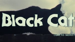 The Black Cat's poster