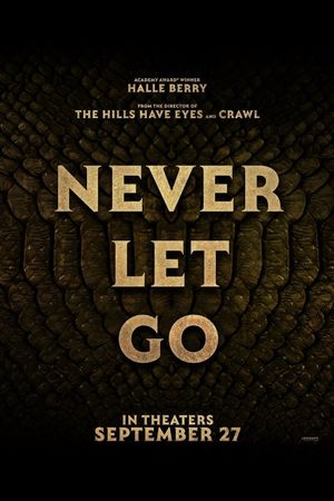Never Let Go's poster