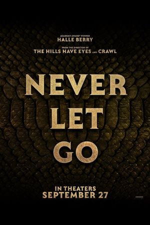 Never Let Go's poster