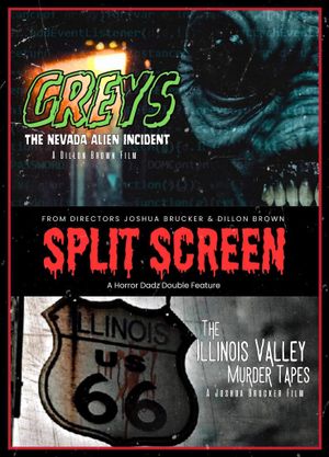 Split Screen's poster image