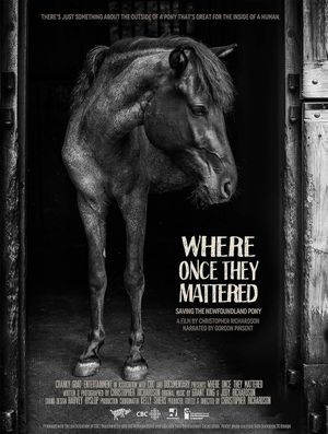 Where Once They Mattered's poster
