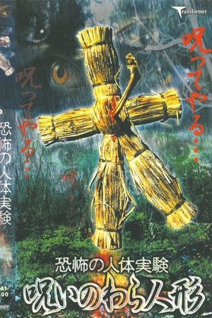 Terrifying Human Experiment: Cursed Straw Doll's poster