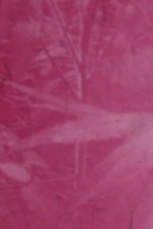 Ornamentals's poster