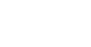 Shadow in the Cloud's poster