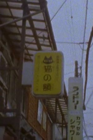 Scenes from a Visit to Japan's poster