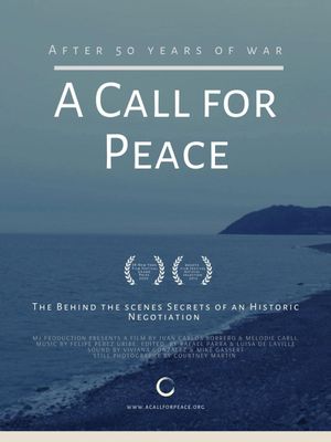 A Call for Peace's poster