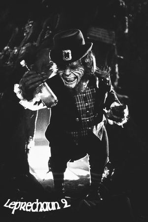 Leprechaun 2's poster