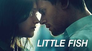 Little Fish's poster