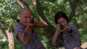 Natural Born Killers's poster