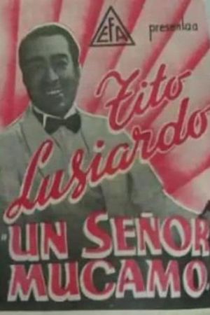 Un señor mucamo's poster