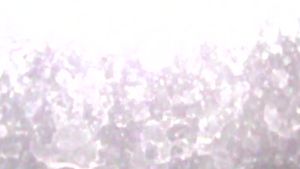 tracks's poster
