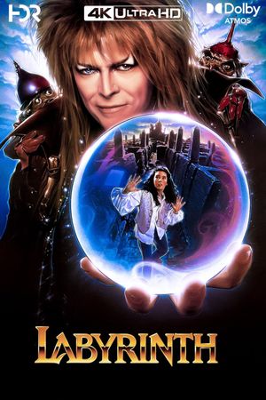 Labyrinth's poster