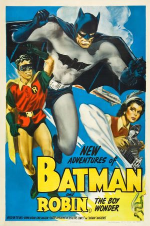 Batman and Robin's poster image