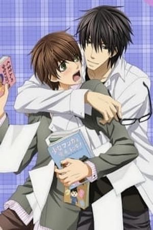 Sekaiichi Hatsukoi: Valentine-hen's poster