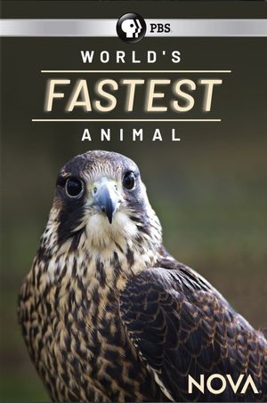 World's Fastest Animal's poster