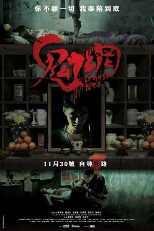 Ghost Net's poster