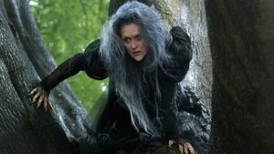 Into the Woods's poster