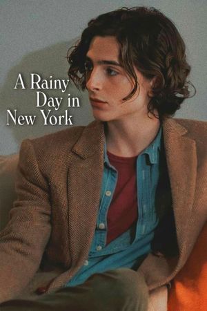 A Rainy Day in New York's poster