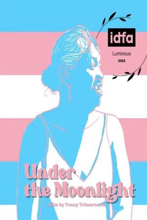 Under the Moonlight's poster