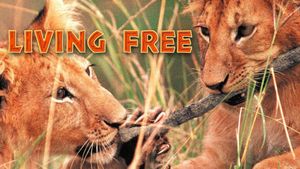 Living Free's poster