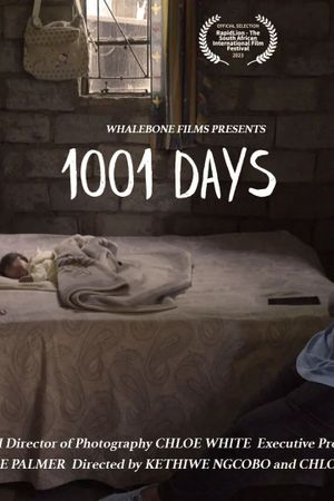 1001 Days's poster