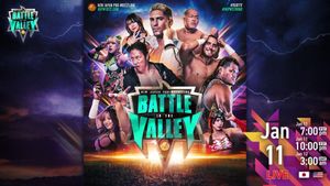NJPW Battle in the Valley's poster