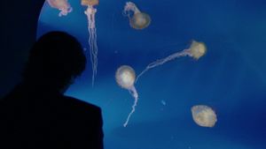 Knight of Cups's poster