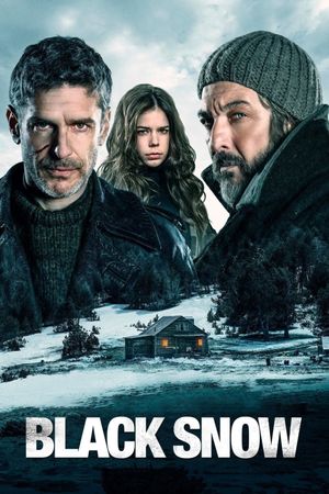 Black Snow's poster
