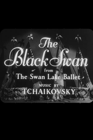 The Black Swan's poster