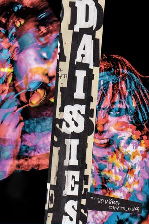 Daisies's poster