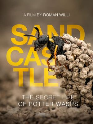 Sandcastle - The Secret Life Of Potter Wasps's poster image