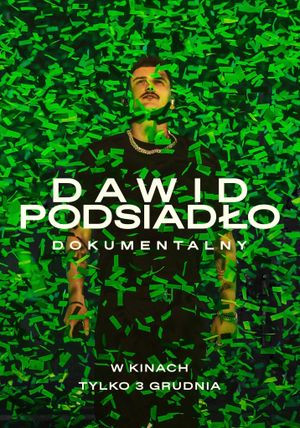 Dawid Podsiadło: The Tour's poster