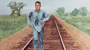 Cool Hand Luke's poster